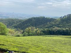 -敬亭山风景名胜区