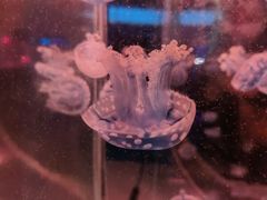 -常州海昌海洋探索馆