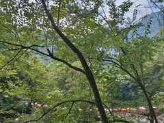 -西岭雪山大飞水景区