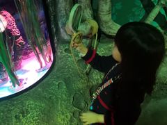 -沈阳海洋探索中心