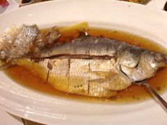 清蒸鲥鱼-上海小南国(国会店)