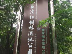 -大亚湾红树林城市湿地公园