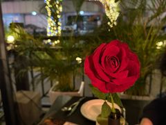 -SHARK鲨鱼餐吧(购物公园店)