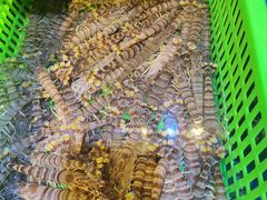 -三个渔夫·蒸汽海鲜(小白楼店)