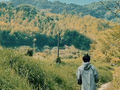 -千泷沟大瀑布旅游区