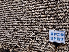-小洲村