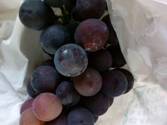 -马陆小张葡萄园农家乐