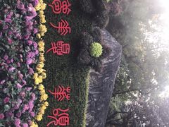 -莲湖公园