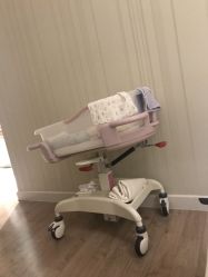 -皇家月府月子中心(沈阳店)