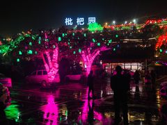 -枇杷园食为鲜火锅(南山店)