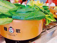 -龍歌自助小火锅(市南金茂湾店)