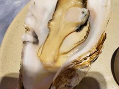 -千岛蚝高压锅生蚝·人参火锅(白云万达店)