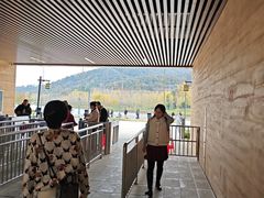-千年银杏谷文化旅游区