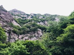 -嵩山少林文化旅游景区