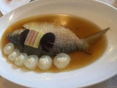 清蒸游水老虎斑-上海皇廷花园酒店·御宴中餐厅