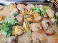 甜麻肥蛤-陈记生蚝烧烤炒菜火锅
