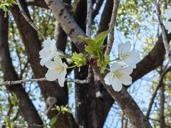 -江南大学(蠡湖校区)