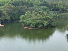 -广州长隆野生动物世界
