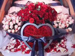 -ROSEONLY诺誓(磐基中心店)
