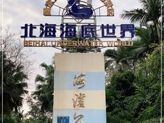 -北海海底世界