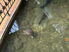 -九尊食上(生态园林酒店)