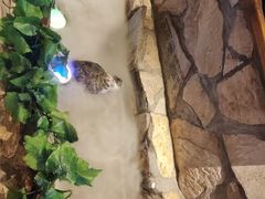 -老牌坊云南鱼豆花火锅(爱建店)