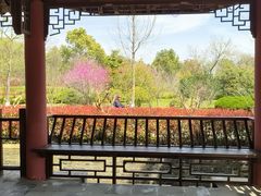 -冶父山国家森林公园