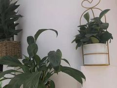 -丹礼糖甜品