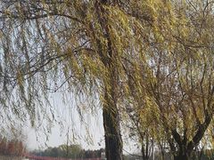 -滨湖塘西河公园