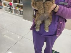 -北京观赏动物医院·24小时大型综合·猫专科·异宠专科