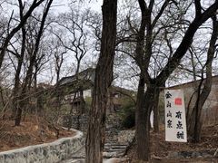 -阳台山自然风景区