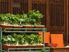 -天和晟烤鸭店(玉泉西街店)