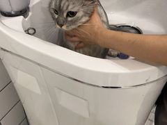 -BABIT巴比特宠物(MOMOPARK店)