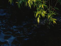 -清溪水库