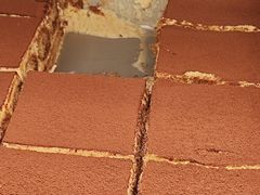 -Wagas沃歌斯(大学路店)