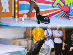 -南昌海洋公园