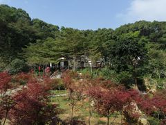 -广州市帽峰山景区