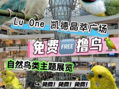 -LuOne凯德晶萃广场(徐家汇路店)