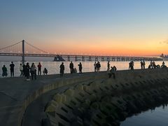 -星海广场