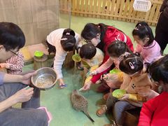 -藦茜花园宠物主题亲子互动体验馆(国顺东路店)