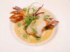 -蝶舍·MAISON PAPILLON