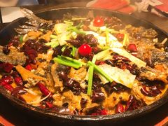 -老板恋上鱼(印象城店)