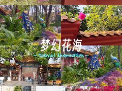 -翠湖公园