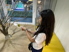 -上海大自然野生昆虫馆(东方明珠·爬宠昆虫探索中心)