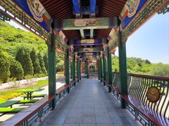 -北京十三陵国家森林公园蟒山景区