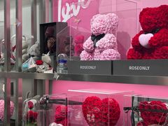-ROSEONLY诺誓(沈阳万象城店)