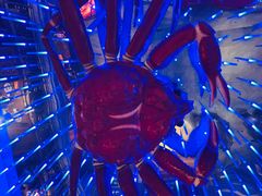 -蟹之国·精品蟹料理(极地店)