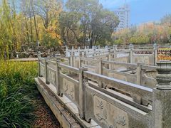 -莲湖公园