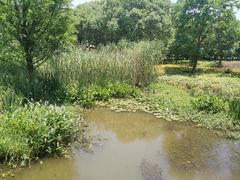 -同里国家湿地公园