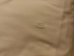 -成都世纪城假日酒店-西楼